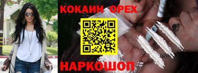 гидропоника Гатчина