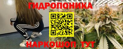 гидропоника Гатчина