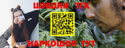 гидропоника Гатчина